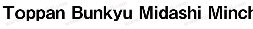 Toppan Bunkyu Midashi Mincho Extrab字体转换